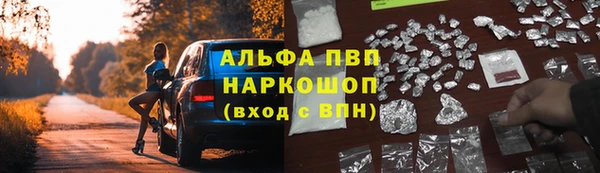 трава Шарыпово