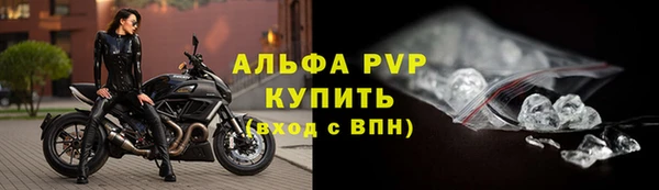 эйфоретик Ельня