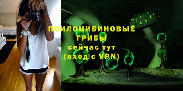 ешки Дмитровск